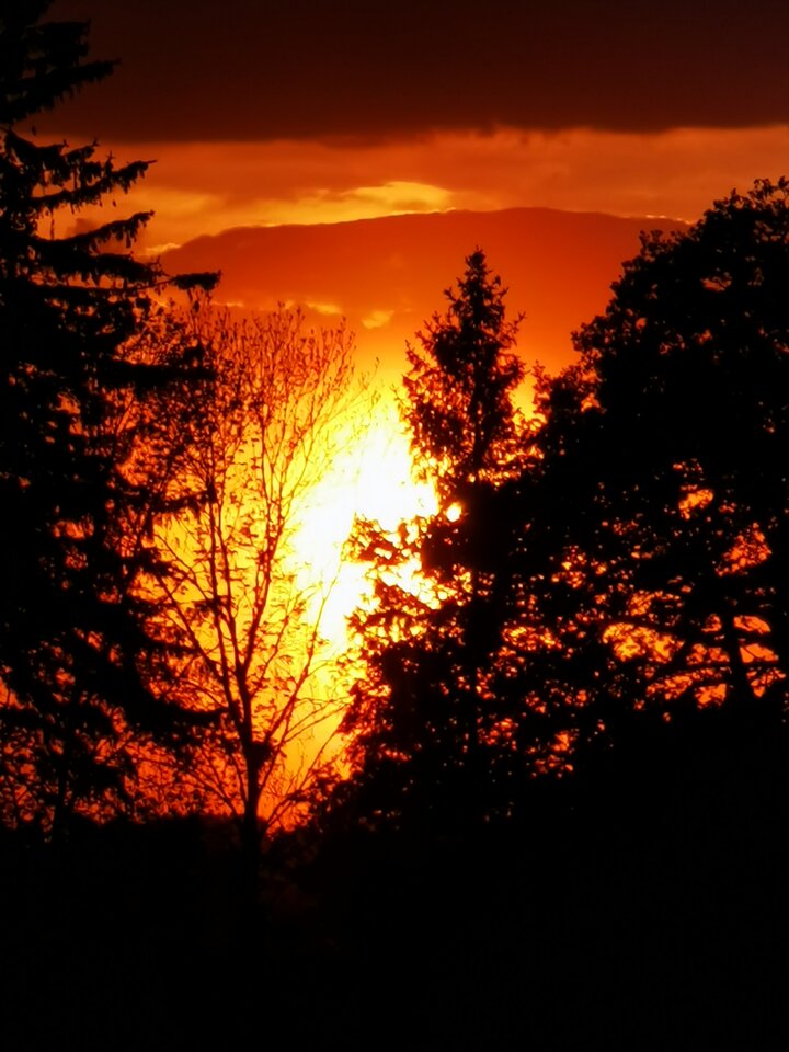 IMG_20210524_205144.jpg - Miniek234