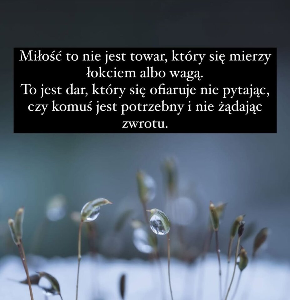 IMG_20250215_011426.jpg - Nicci