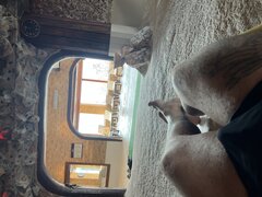 IMG_5431.jpeg