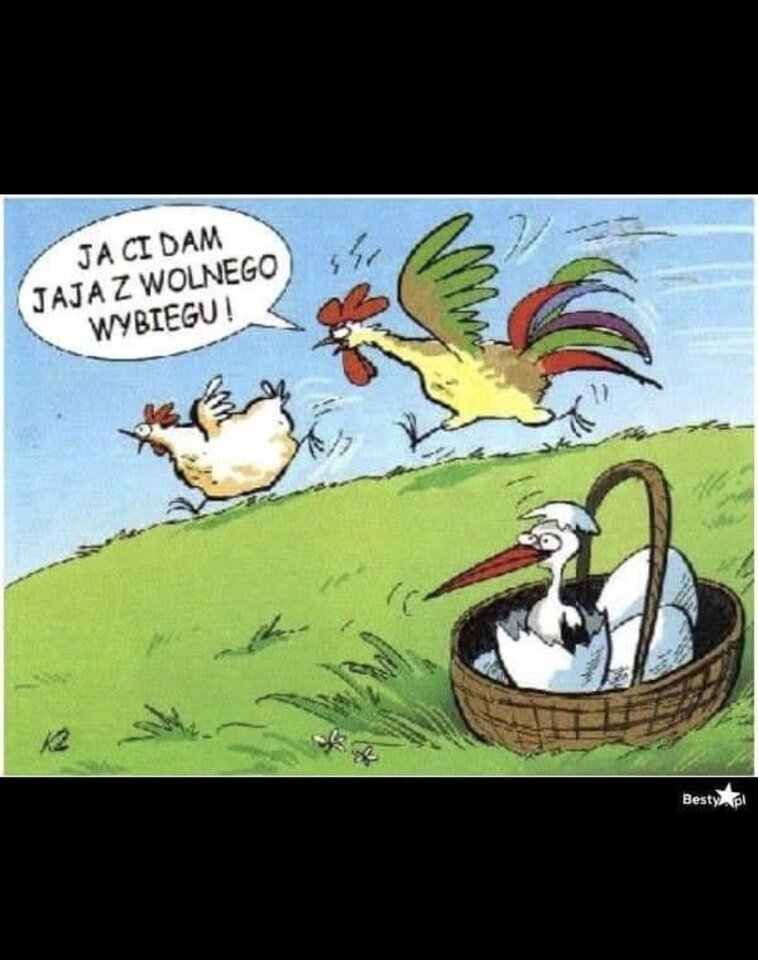 1000019033.jpg - Miniek234