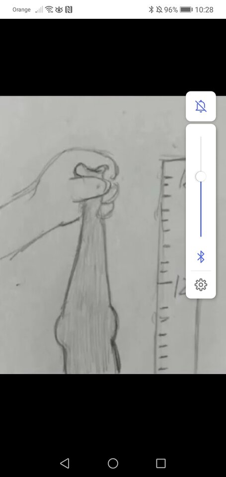 Screenshot_20250203_102825_com.android.chrome.jpg - Maniek13579