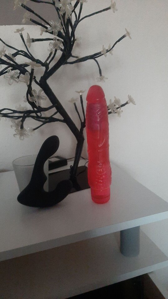 Messenger_creation_536984830565686.jpeg - Zakochani2024