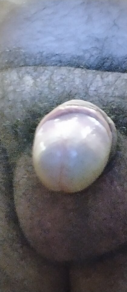 1725247884166.jpg - smakwaginy