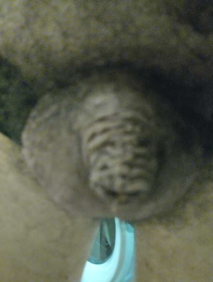 1727755099363.jpg - smakwaginy