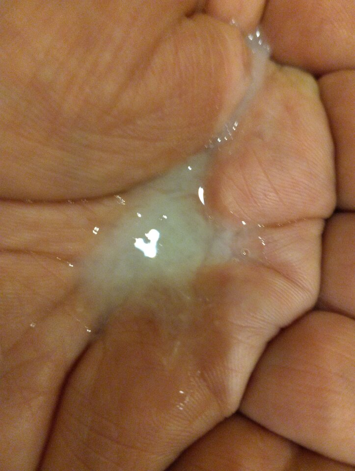 1728197999251.jpg - smakwaginy