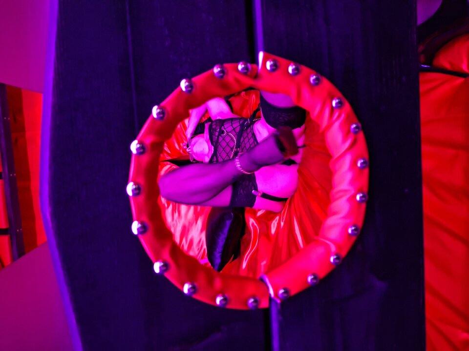 1000037969.jpg - Rosaviktor