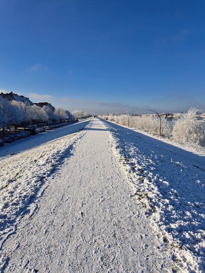 1000003661.jpg - gregor8014