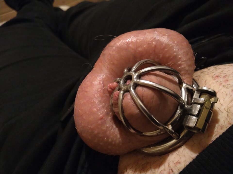 17397230851733062189016850654125.jpg - Prawdziwykundel