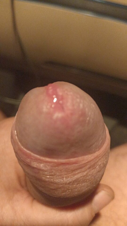 IMG-20250130-WA0005.jpg - My4245