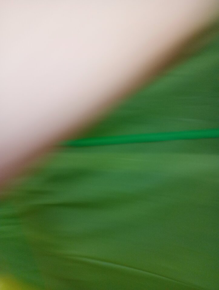 IMG_20240808_120223.jpg - Myparararar