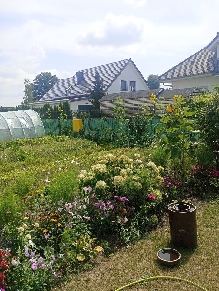 IMG_20240803_132124.jpg - Myparararar