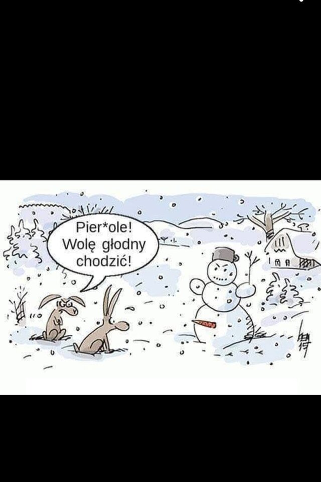 1000019733.jpg - Miniek234