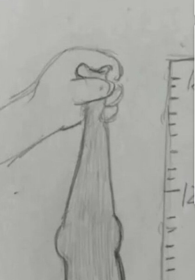 Screenshot_20250215_213030.jpg - Maniek13579