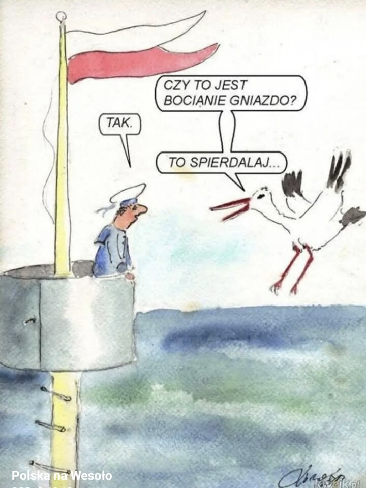 1000019734.jpg - Miniek234