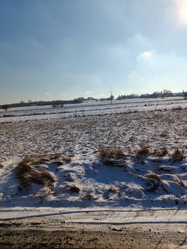 IMG20250217133502.jpg - hypns