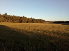 IMG_20241018_075751.jpg