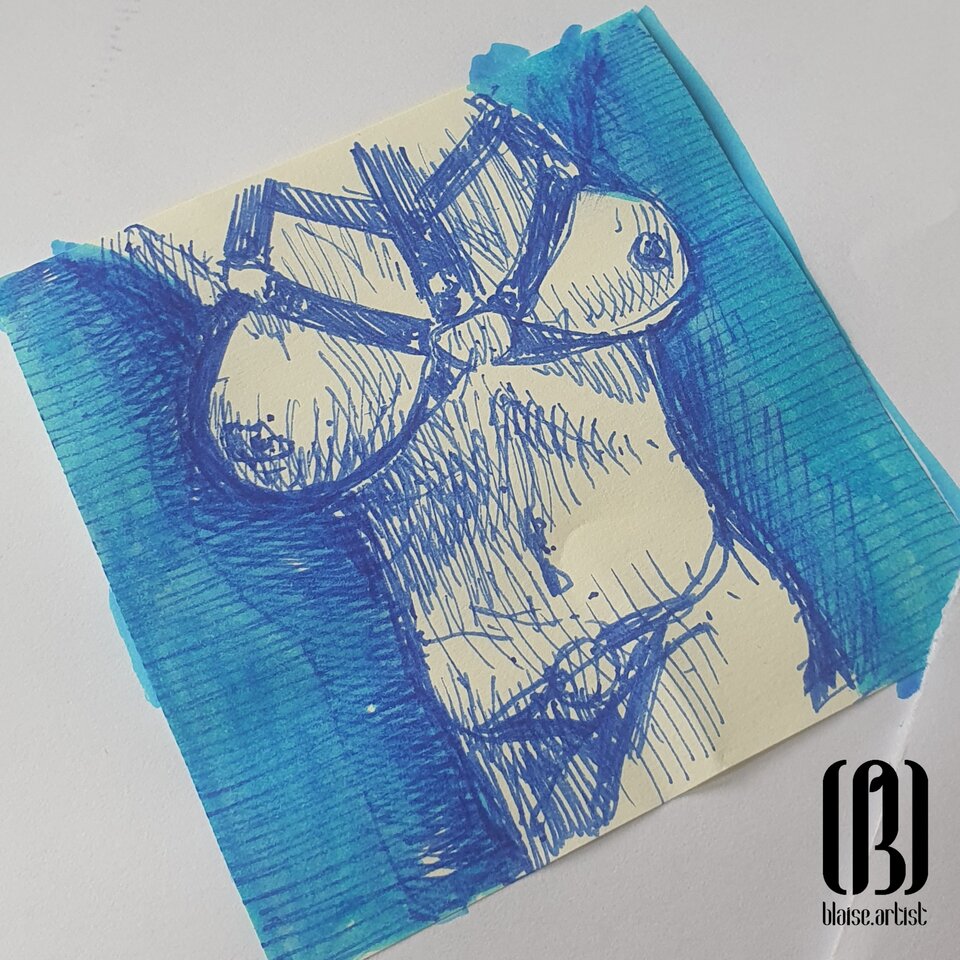 Art. No. 307 - blaise8