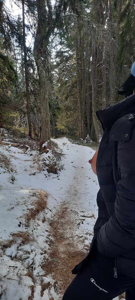 20250219_143207.jpg - AlbatrosBeti