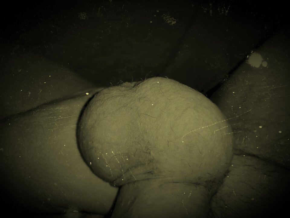 IMG_20250219_174540_edit_800029255364382.jpg - obserwator42