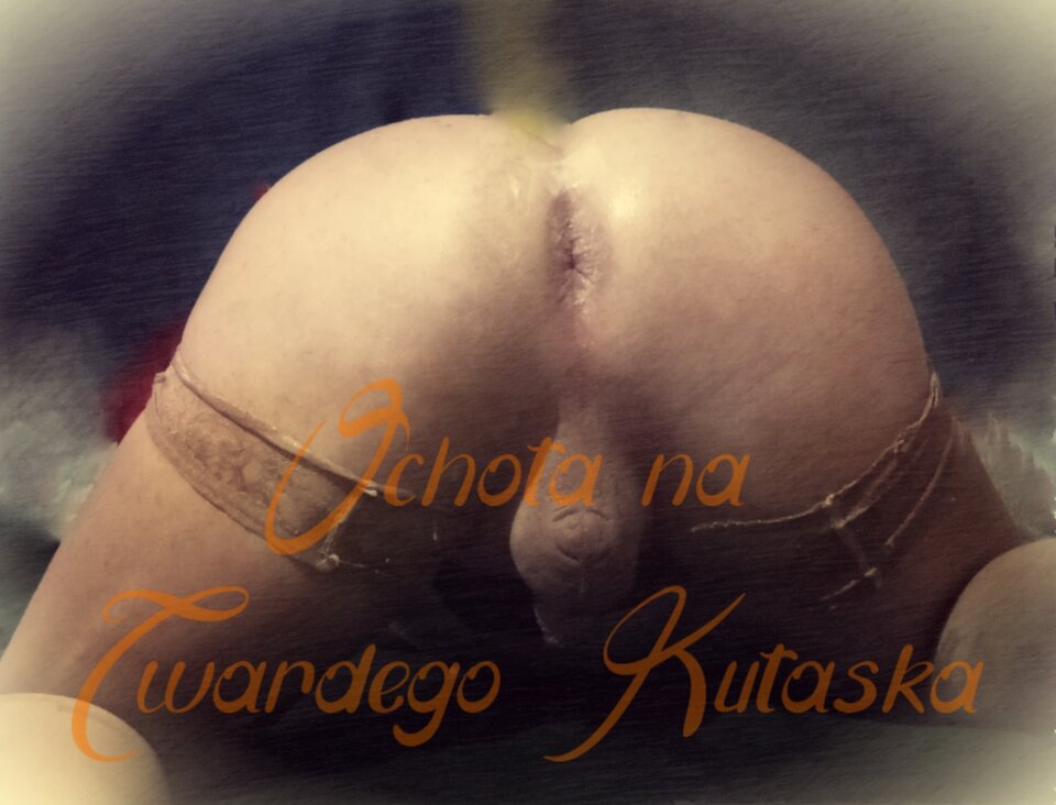 1000048190.jpg - NinaTransCD