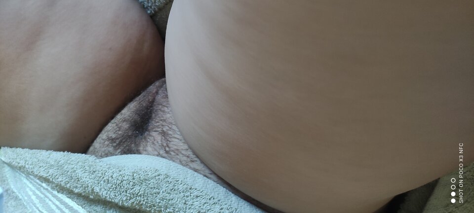 IMG_20250221_150201.jpg - panstwobloom