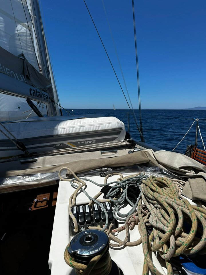 3b95ba8c-05ce-4988-ac74-b743b7ab8ed1.JPG - ald44