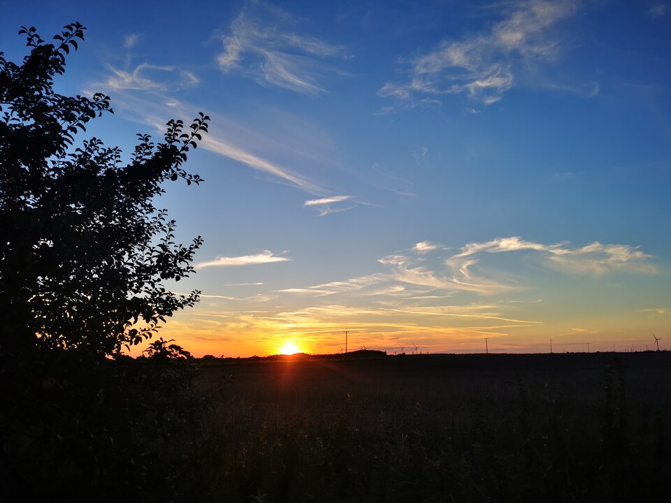 1000007347.jpg - Miniek234