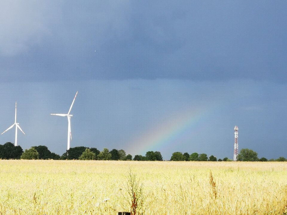 IMG_20230717_172716.jpg - Miniek234