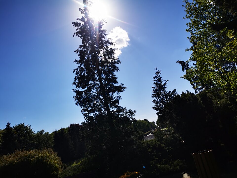 IMG_20240502_155316.jpg - Miniek234