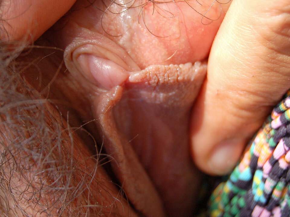 Dzyndzelek - Wlochatezboczki1993