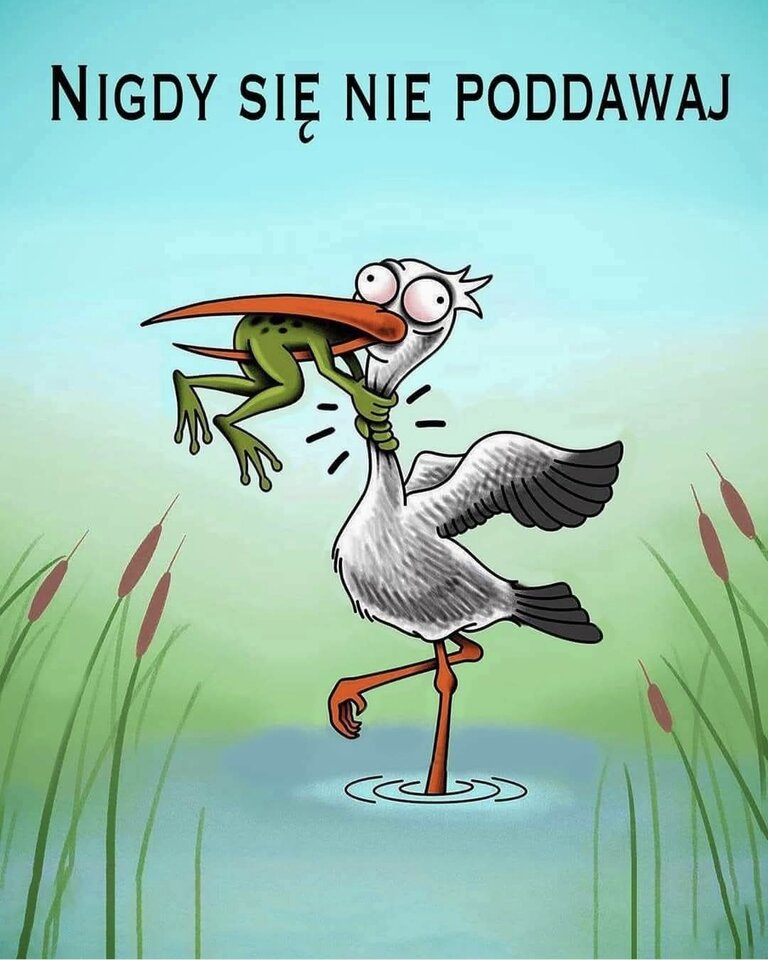 1000019885.jpg - Miniek234