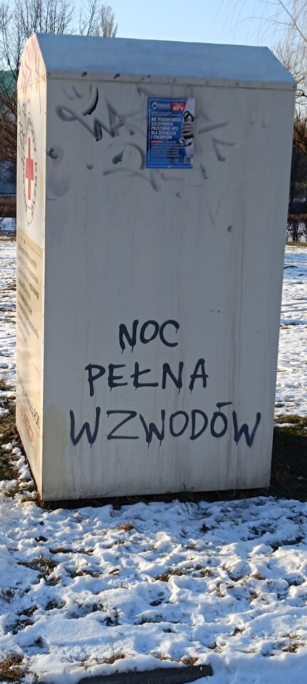 1000007573.jpg - Calisto