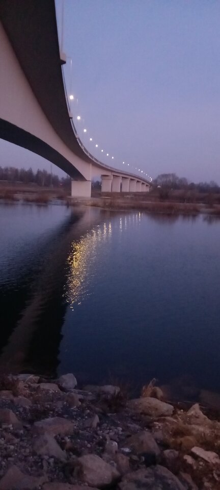 1000013014.jpg - Pael45