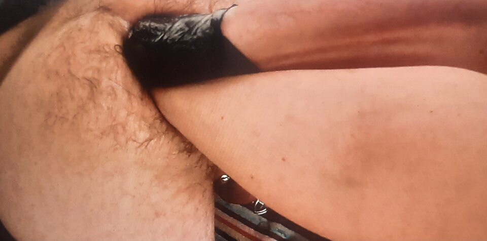 1000018667.jpg - wlochaty81