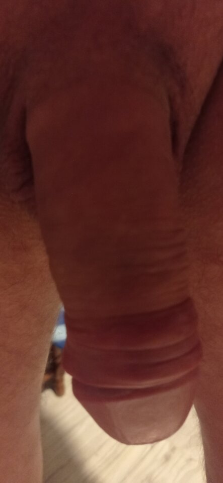 IMG_20250223_022814.jpg - razem2329