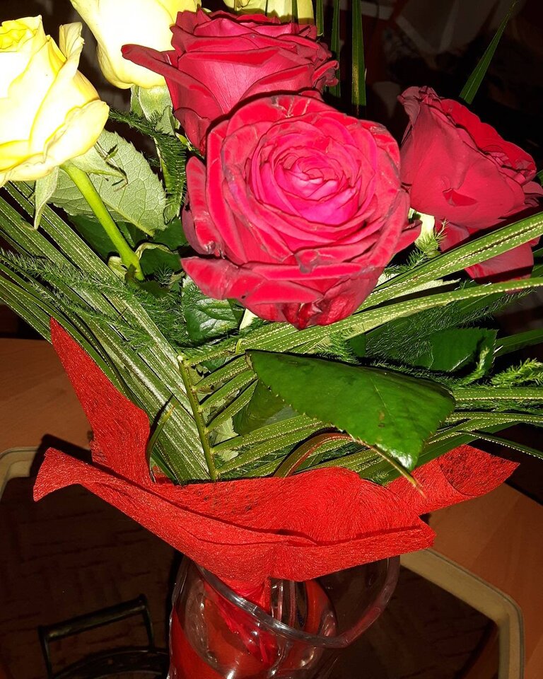 vs2.jpg - SzaraMyszka98