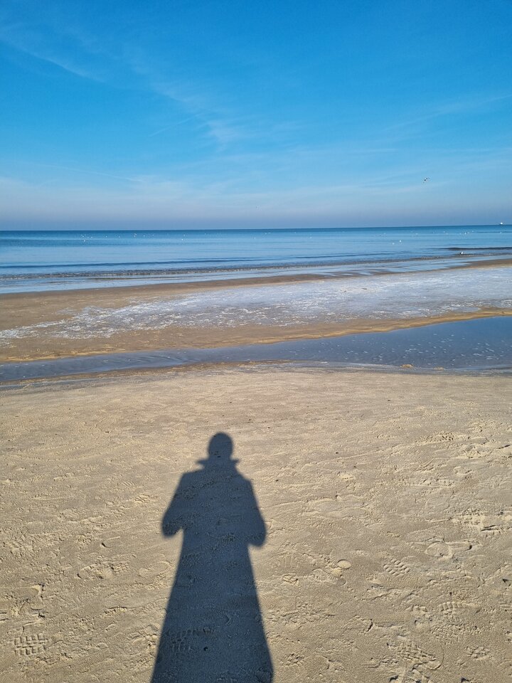 1000008344.jpg - Bruno780