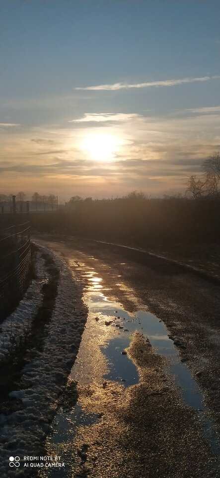 Ostatnio pokochałam spacery 😊😊😊 - Marta115