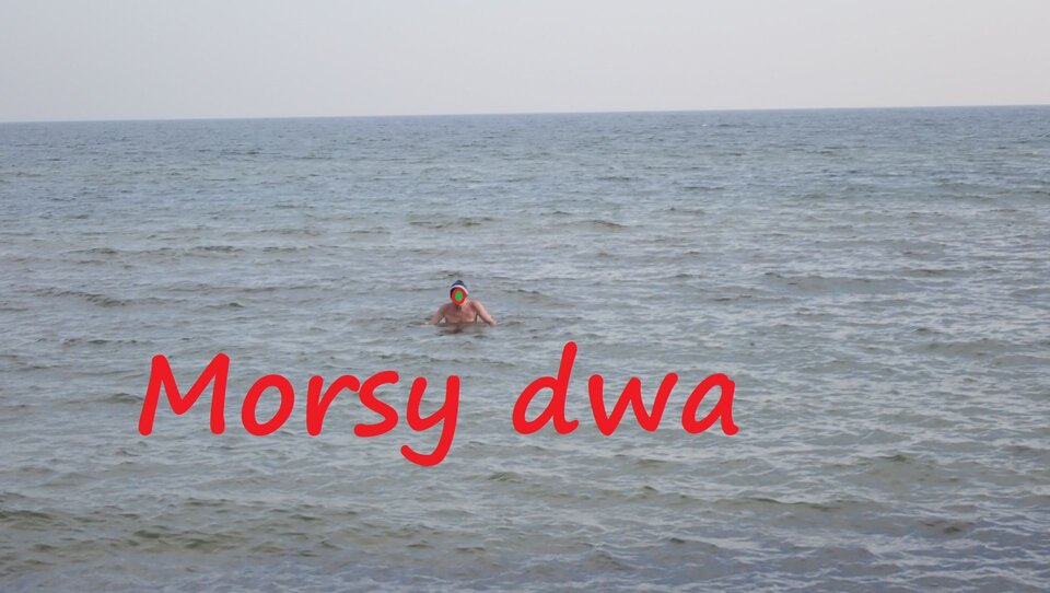 Po to byłem nad morzem! - Morsy_dwa