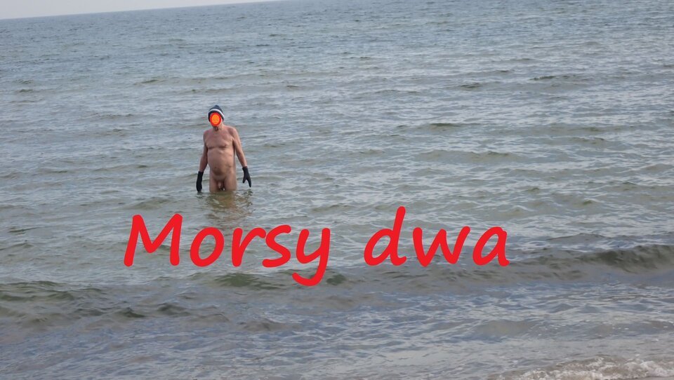 Pozuję do zdjęcia. - Morsy_dwa