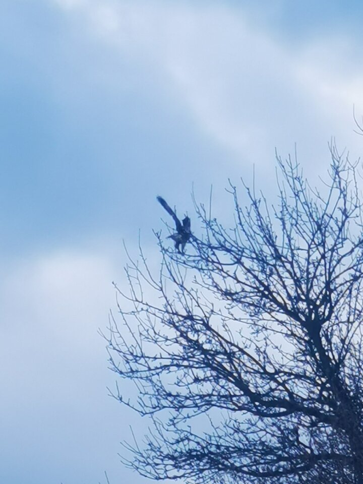 1000006407.jpg - Miniek234