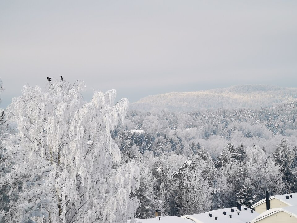 1000006427.jpg - Miniek234