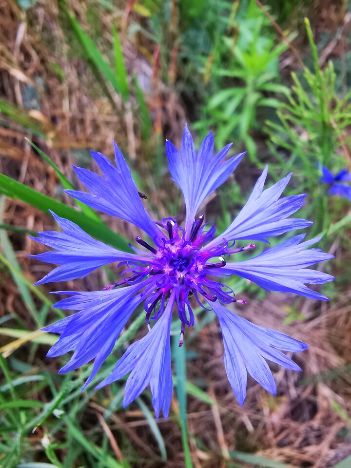 1000006086.jpg - Miniek234