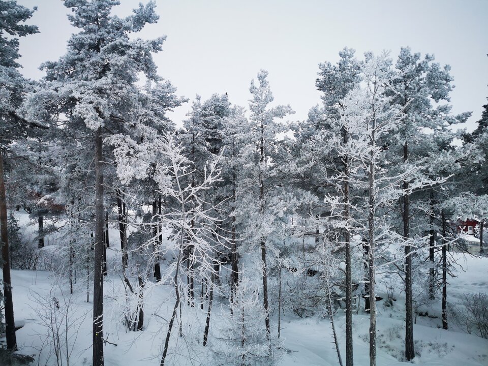 1000006416.jpg - Miniek234