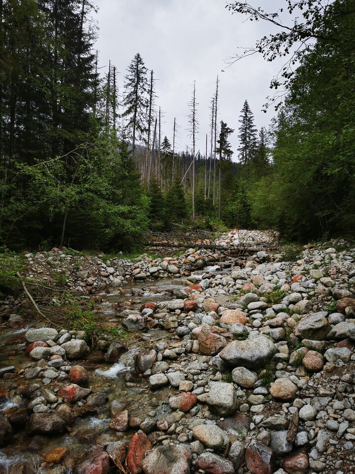 1000005986.jpg - Miniek234