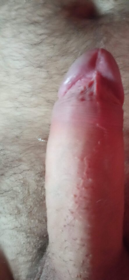 IMG_20250224_111154.jpg - Christoforo