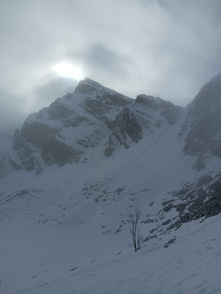 Szczytowanie. - Sztubak2