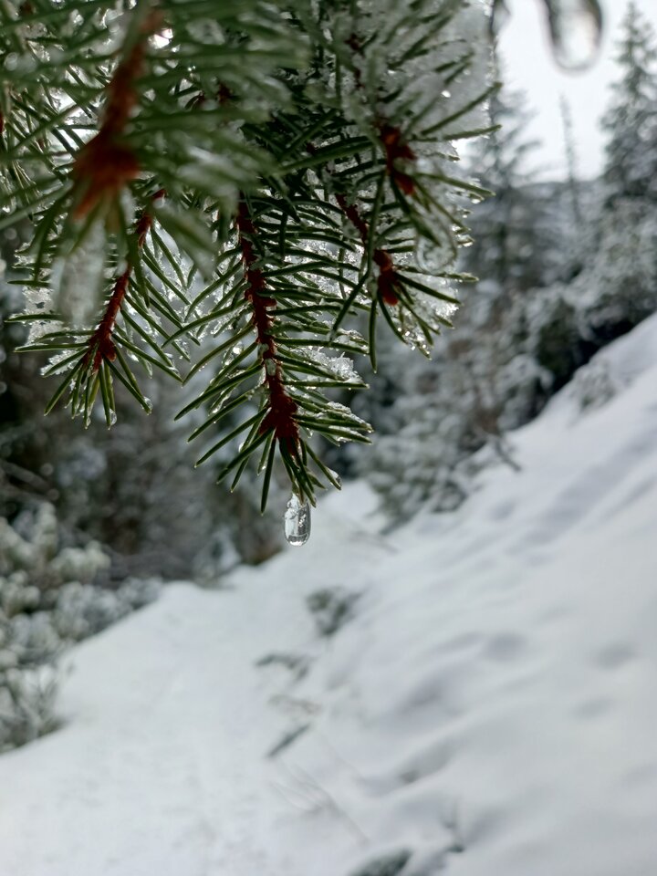 Czasem kutas przegrywa z widokiem jak ten. ☺️ - Sztubak2