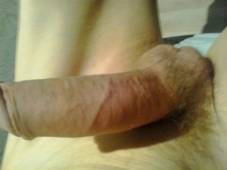 20250225_055421.jpg - 11igor11