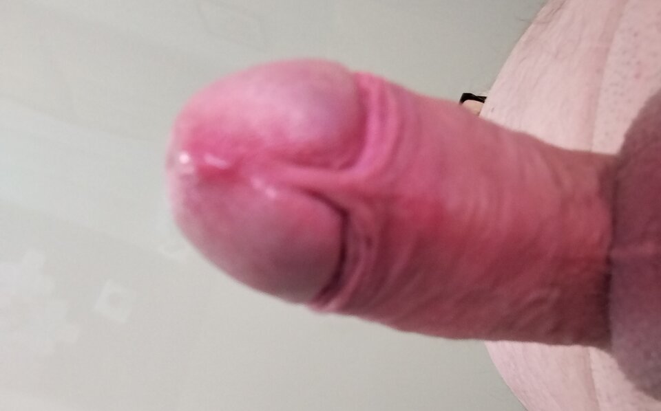 1000013163.jpg - Leonardo2301